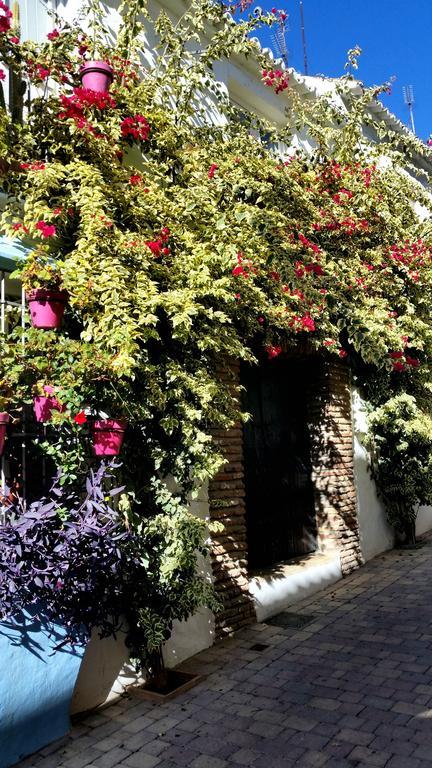 Apartamentomirada Apartment Estepona Exterior photo